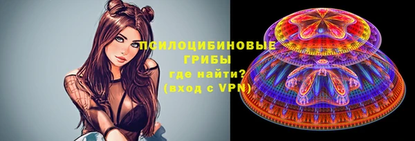 мдпв Вязники