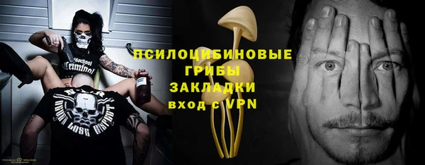 мдпв Вязники