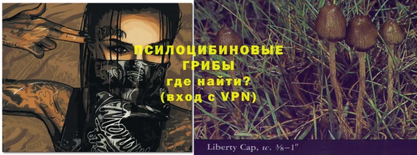 круглые Вяземский
