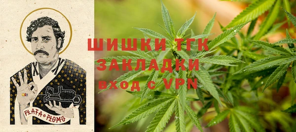 молекула духа Ладушкин