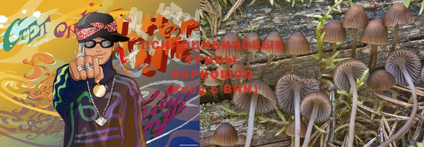 мдпв Вязники