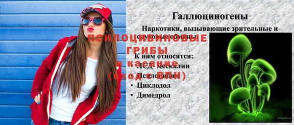 мдпв Вязники