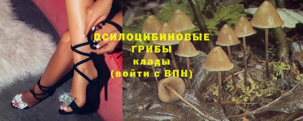 круглые Вяземский